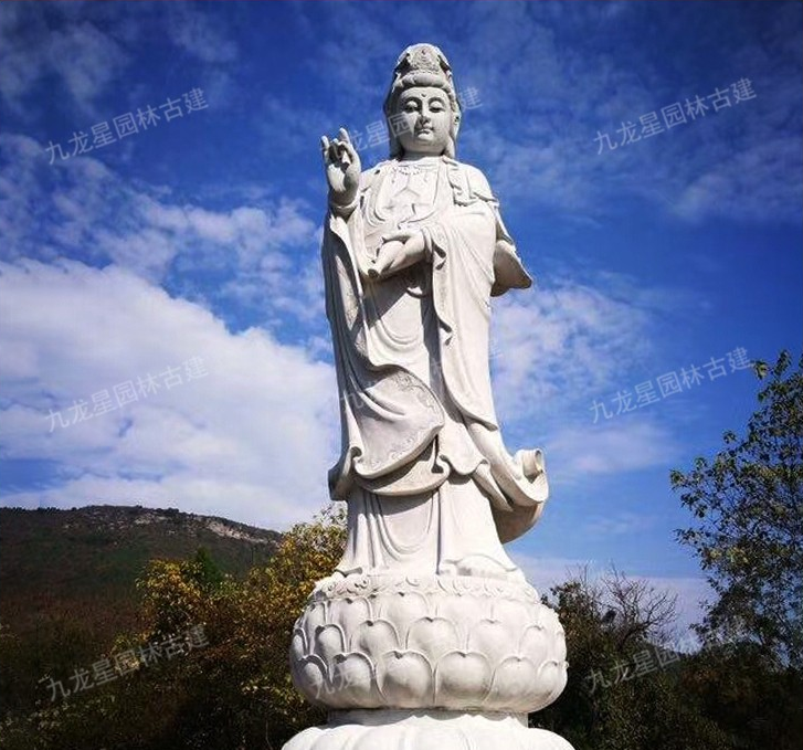 1621329117544160.png image.